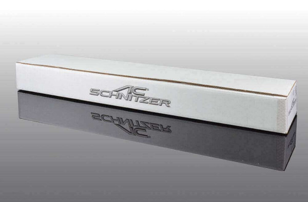 AC Schnitzer carbon rear spoiler for BMW 2 series F22 Coupé
