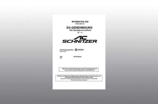 AC Schnitzer Schalldämpfer für Z4 G29 20i, 30i