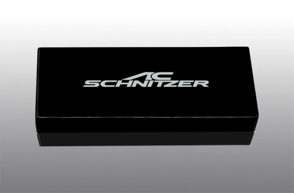 AC Schnitzer key chain